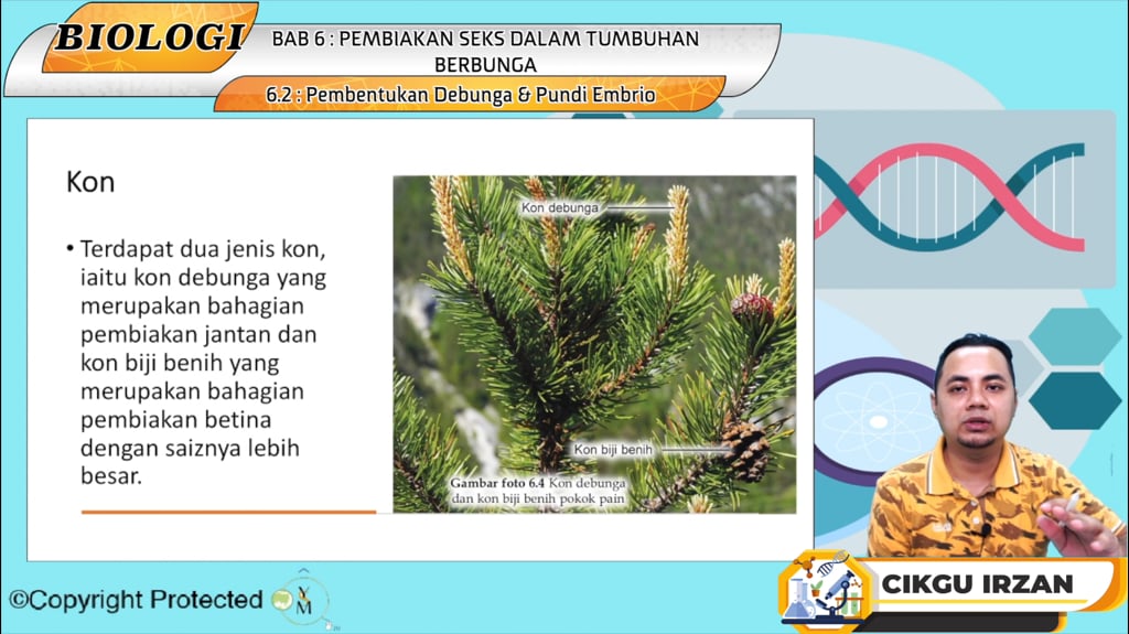 F5_BIO_06-02 Pembentukan Debunga & Pundi Embrio