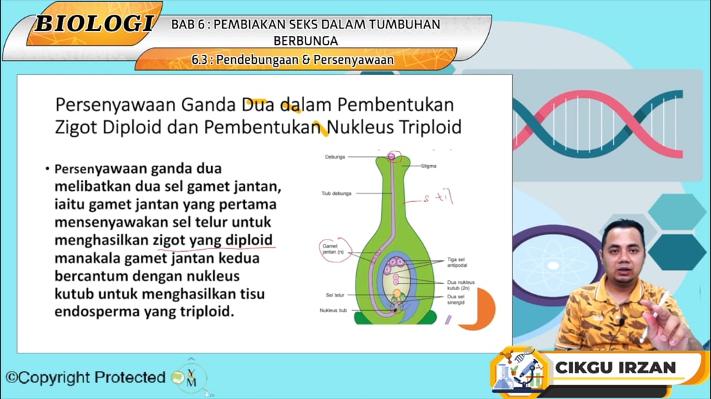 F5_BIO_06-04 Pendebungaan & Persenyawaan