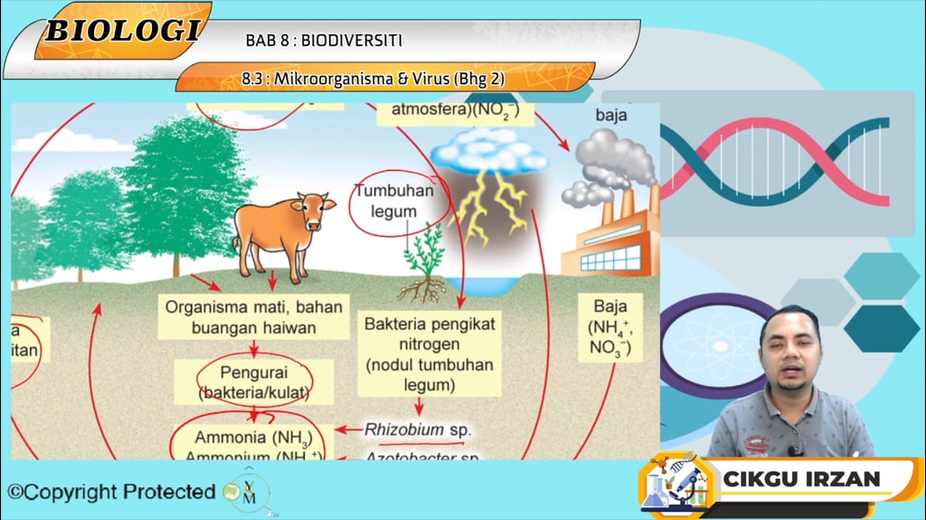 F5_BIO_08-07 Mikroorganisma & Virus (Bhg 2)