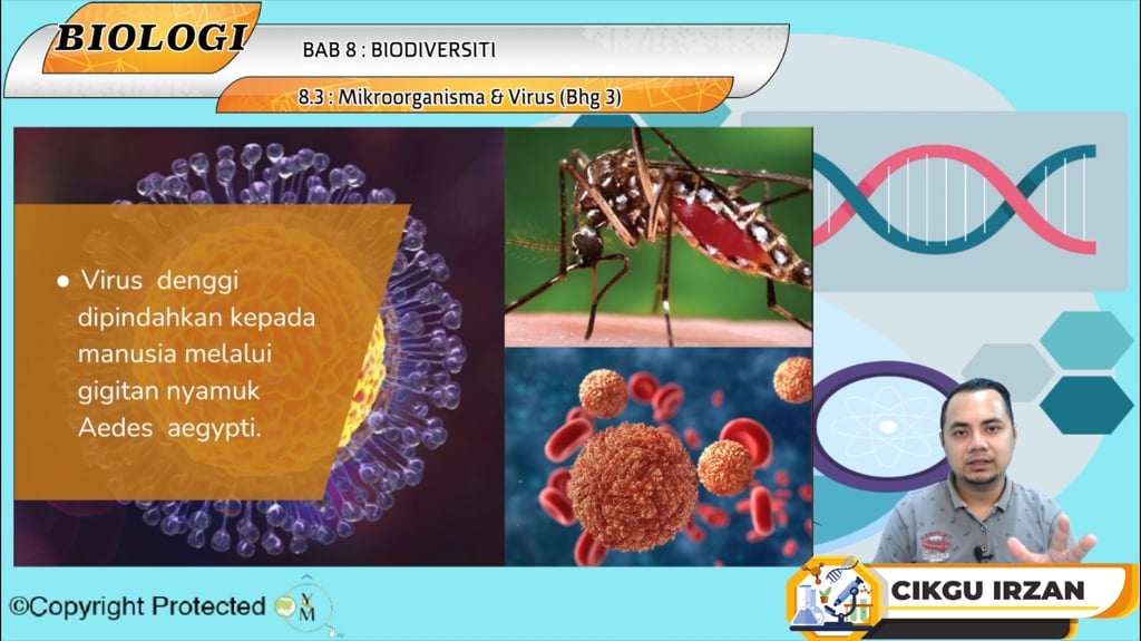 F5_BIO_08-08 Mikroorganisma & Virus (Bhg 3)
