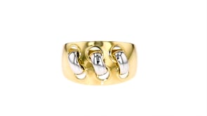 14kt Two-Tone Gold Link Ring