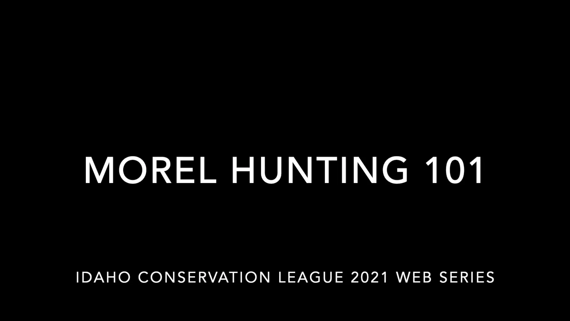 Morel Hunting 101 on Vimeo