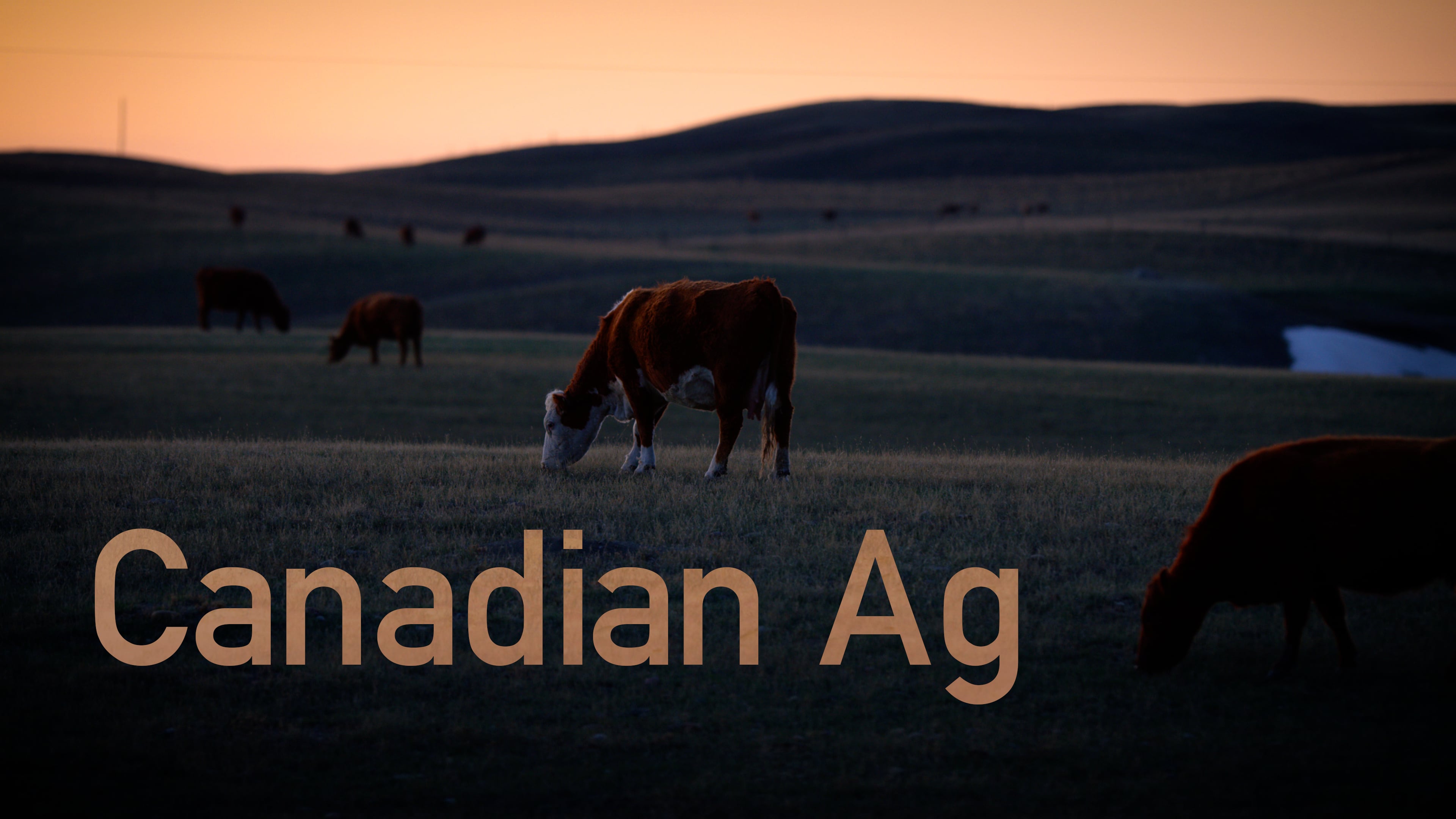 Canadian Ag