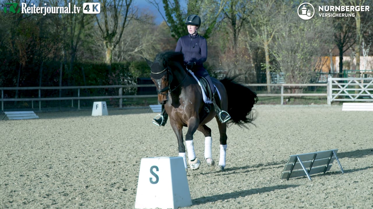 Richtig Reiten mit Dorothee Schneider (Teil 2/2) - präsentiert von der NÜRNBERGER Versicherung