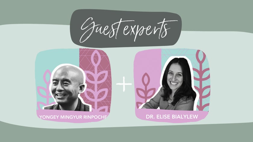 vimeo-video-thumbnail