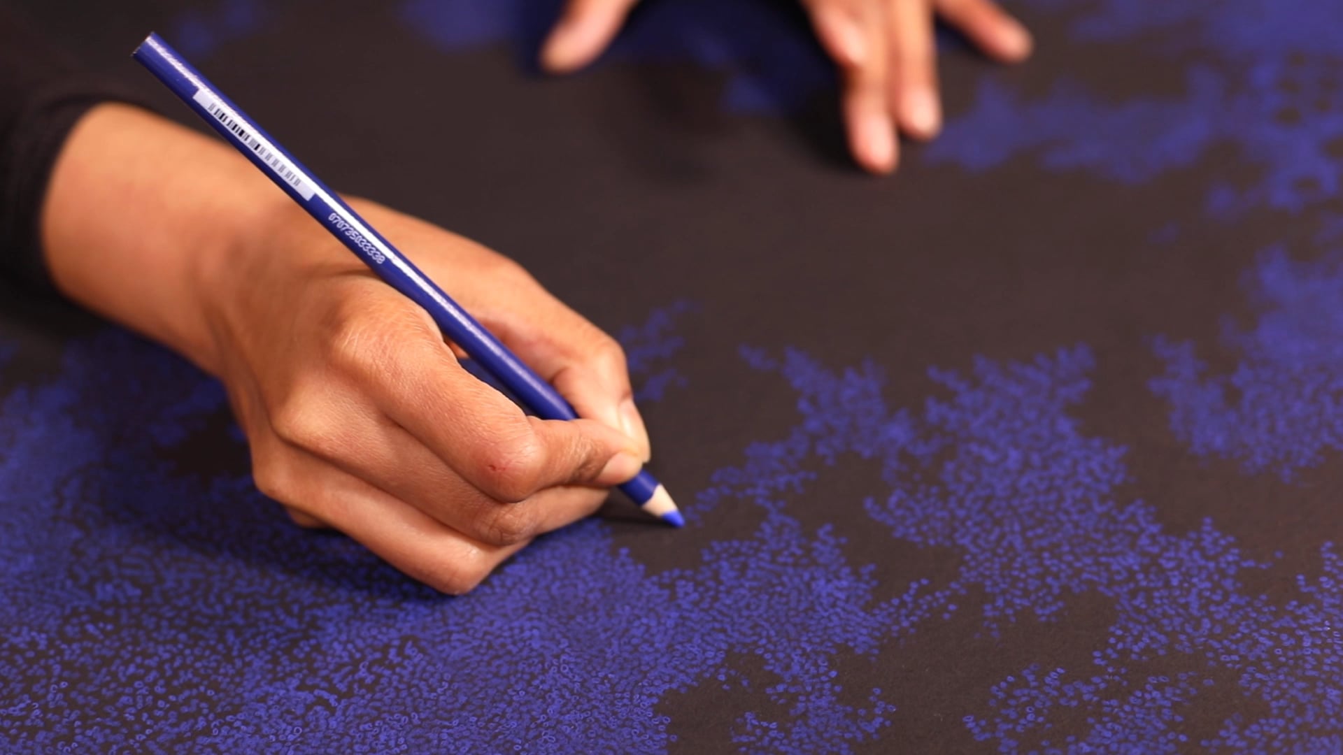 Artist Sukanya Garg