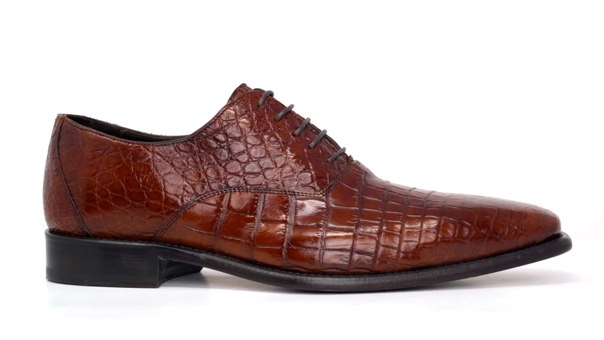 Calzoleria Toscana David 6153 Nile Crocodile Shoes Cognac