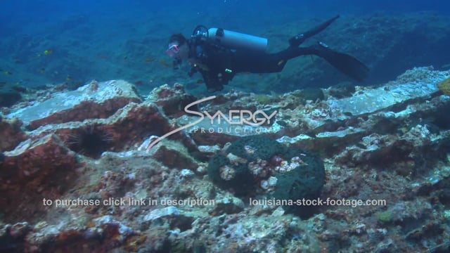 2669 Stetson bank scuba diver diving