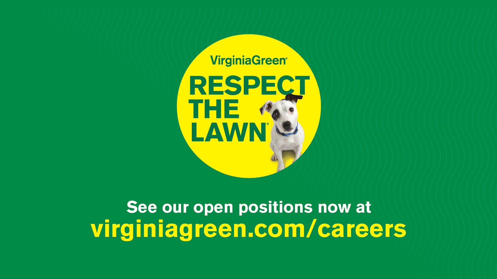 Virginia Green - "Recruitment"
