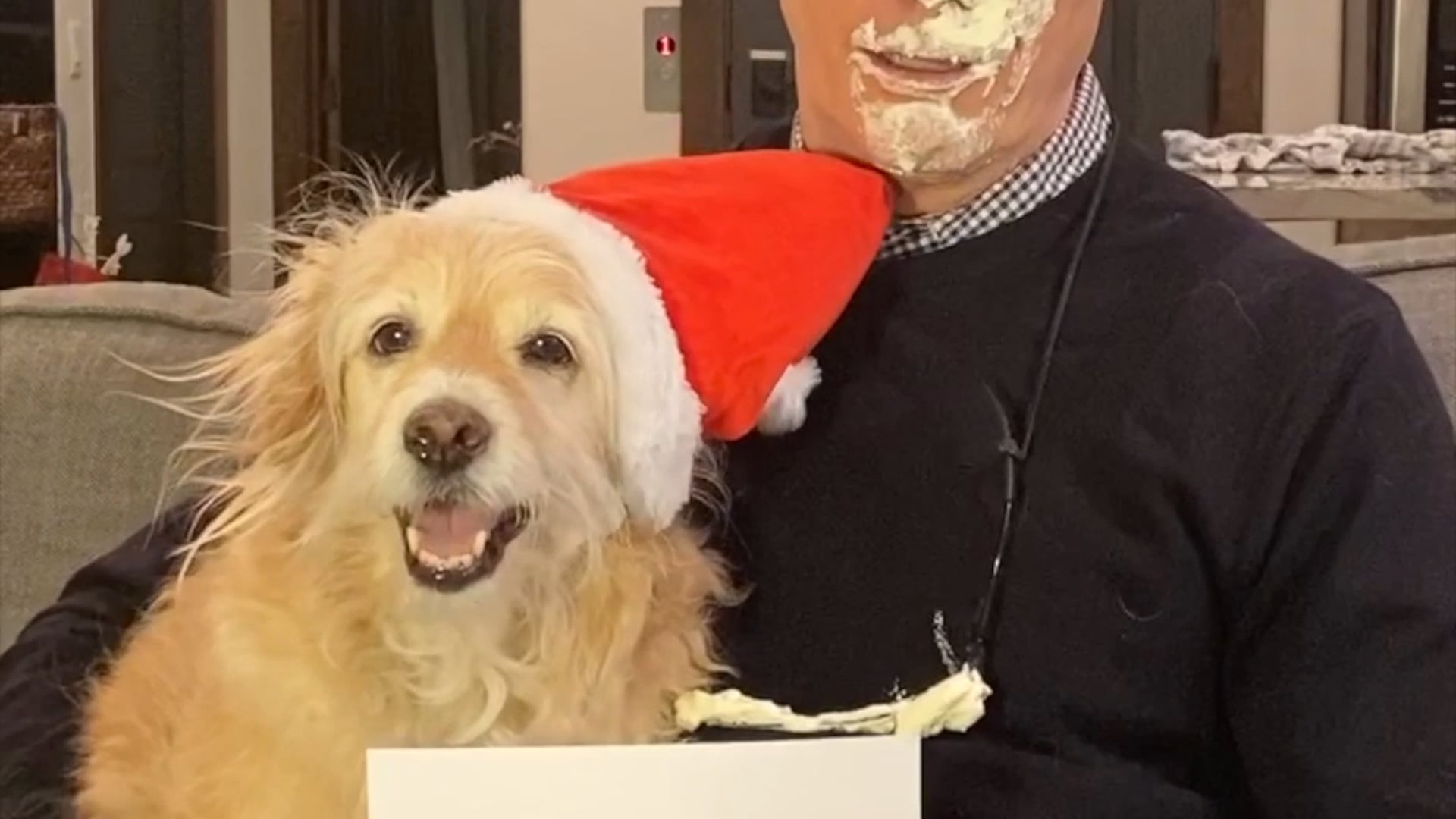 A VERY BRUCE CHRISTMAS