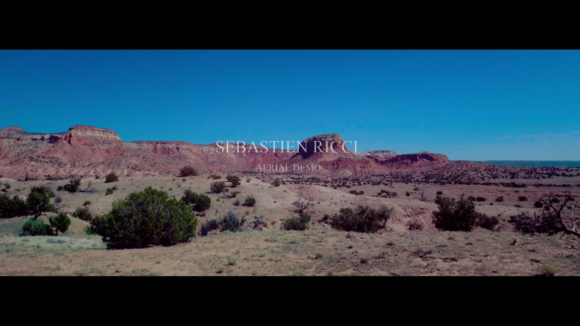 Promotional video thumbnail 1 for Sebastien Ricci
