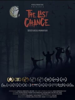 THE LAST CHANCE