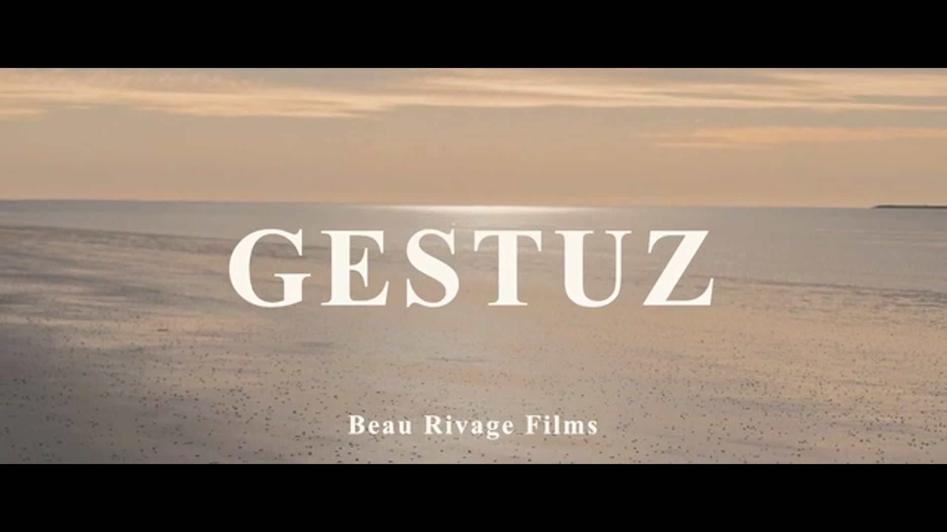 GESTUZ