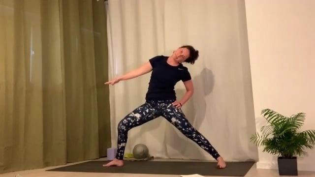 Forrest Yoga // Connect to Low Belly, Low Back: Standing Pose Series // 50 min