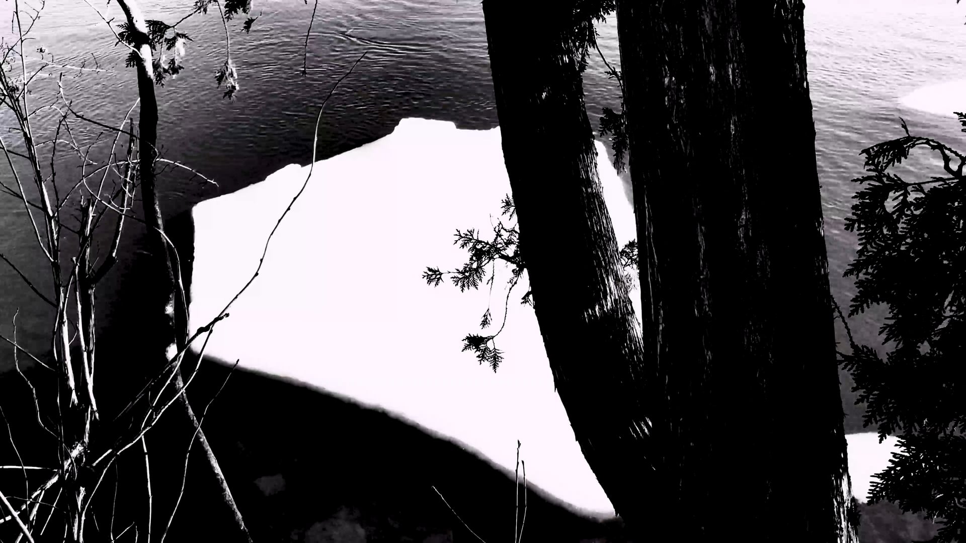 Mi madre, pintora alienada tardía