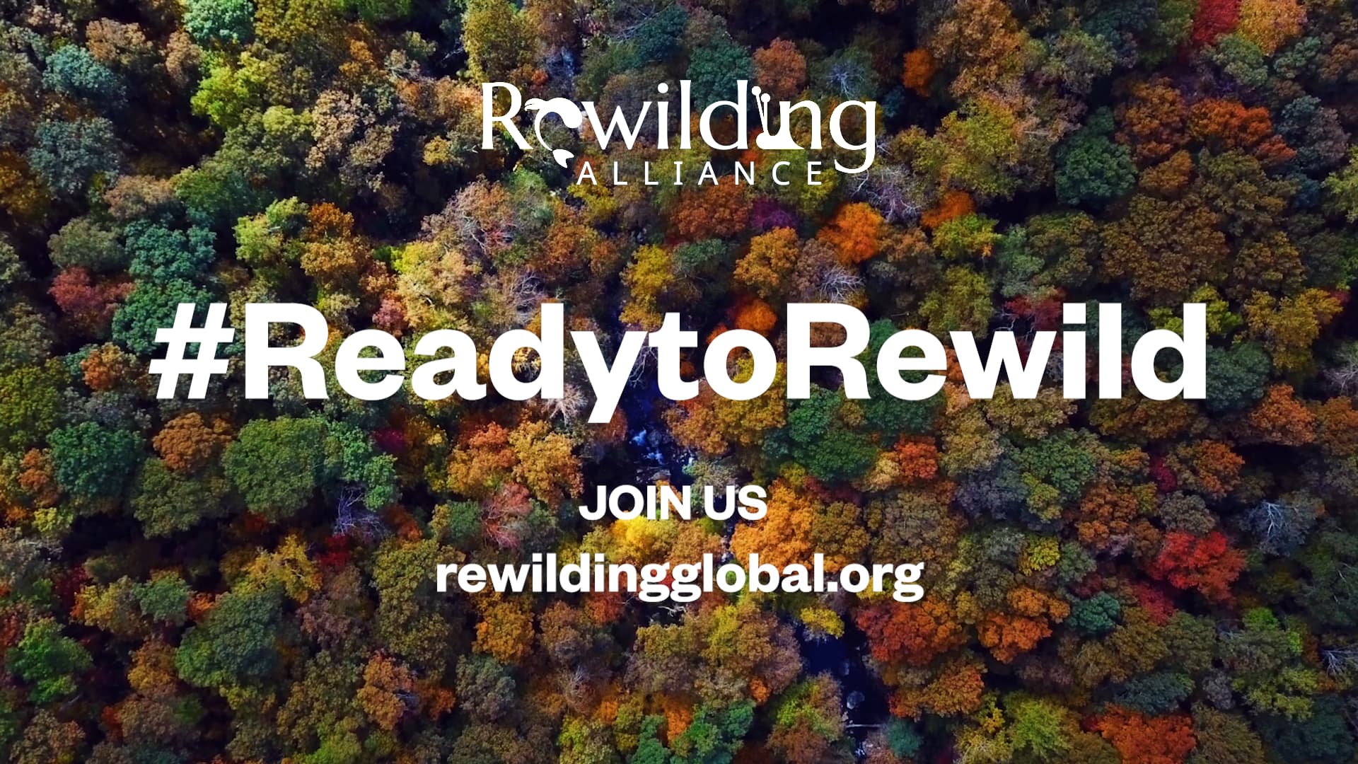 Together We Can Rewild Earth