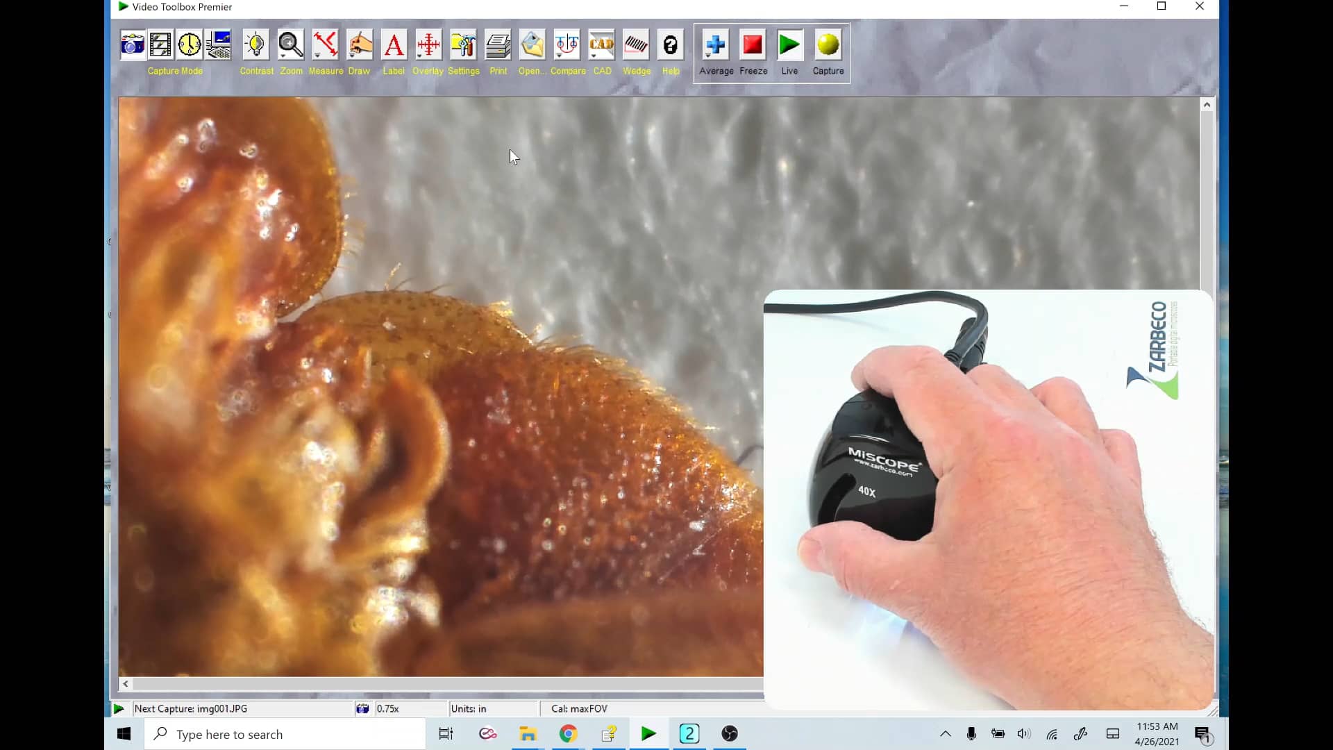 MiScope-MP3 for insect ID on Vimeo