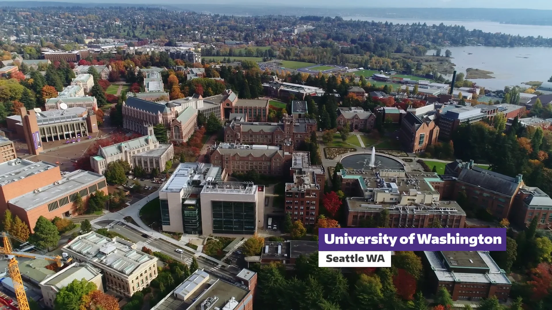 ワシントン大学　ペナント　University of Washington University of Washington - UW 2025 admit rate reality check