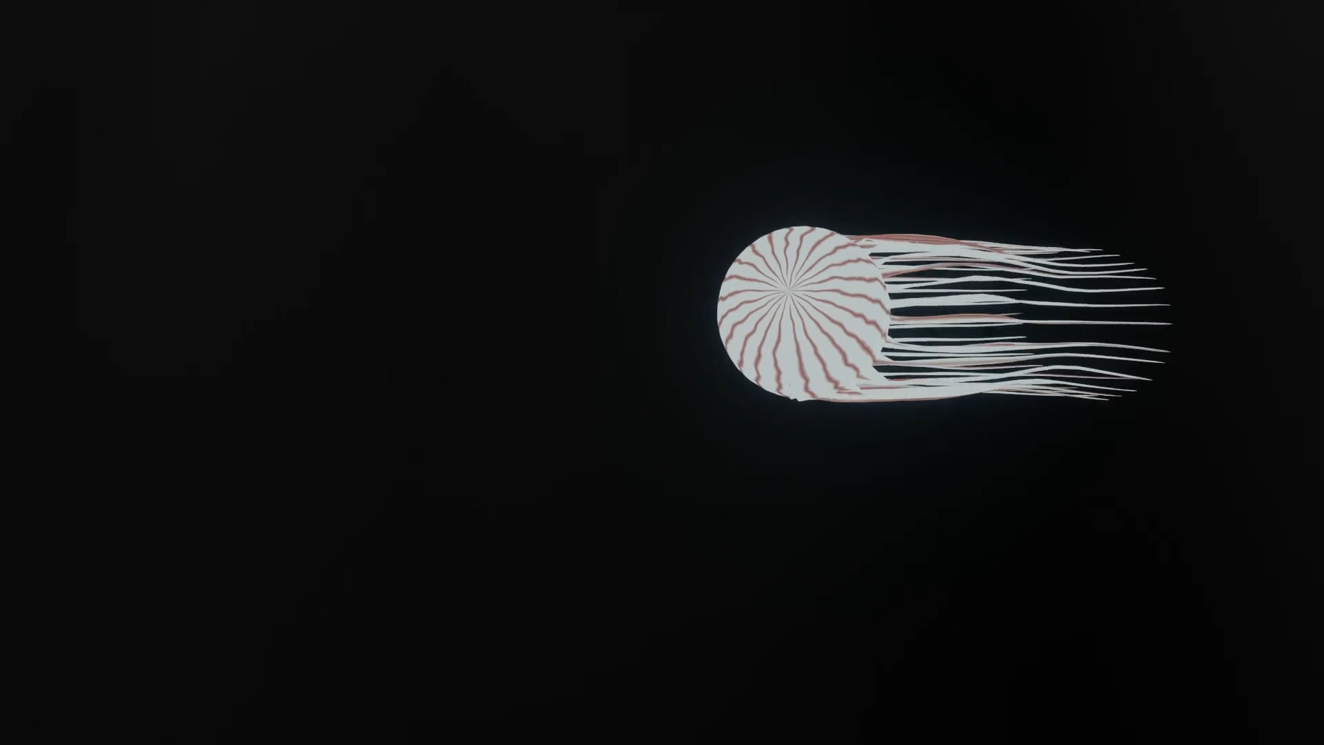 Jellyfish