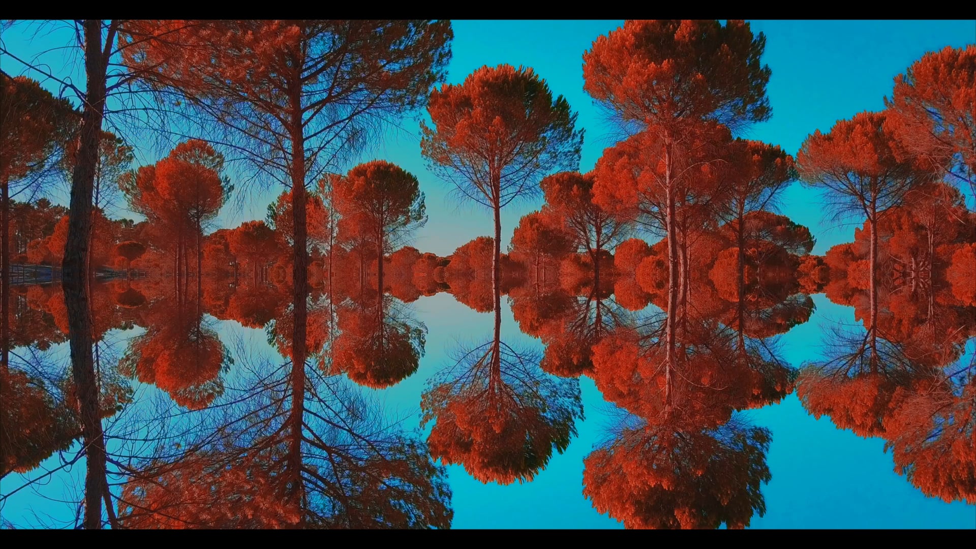 RESPIRE (2021) - film de Tibo ..  tibobrigado