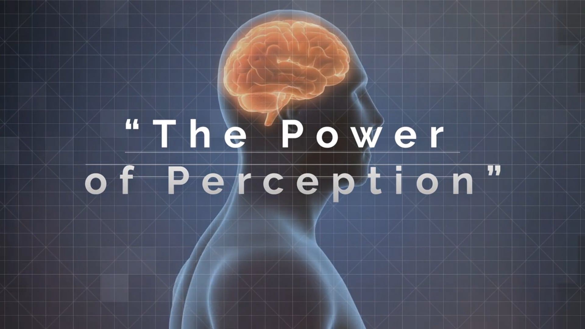 The Power of Perception