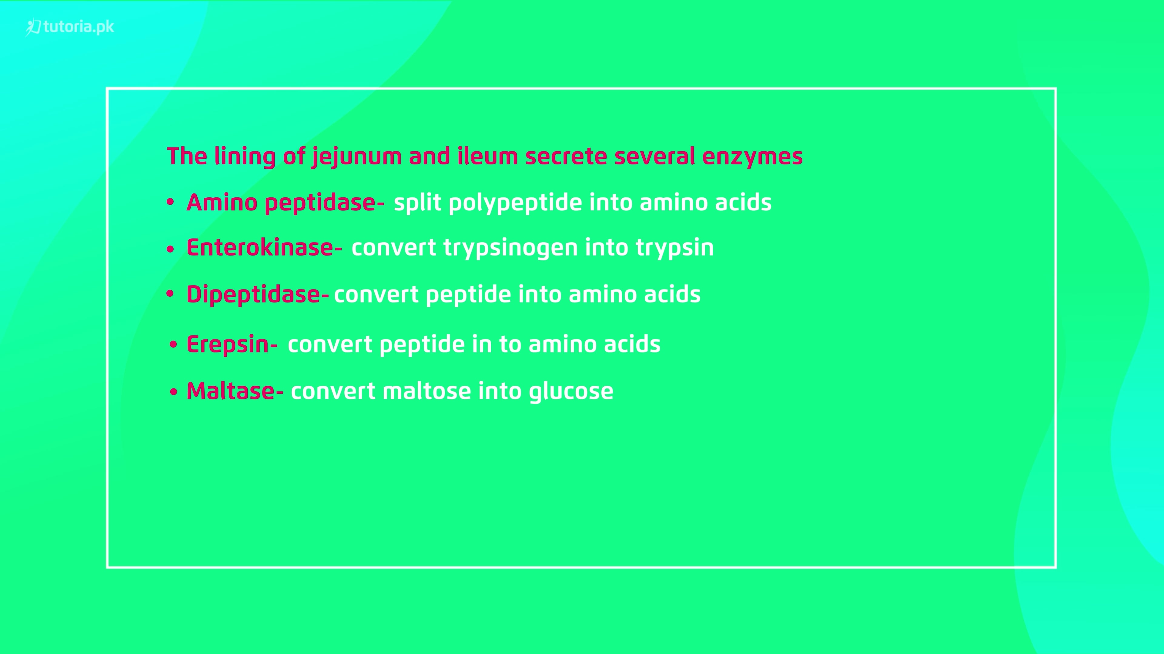 biology-grade-11-chapter-11-topic-11116-absorption-of-food-in-small