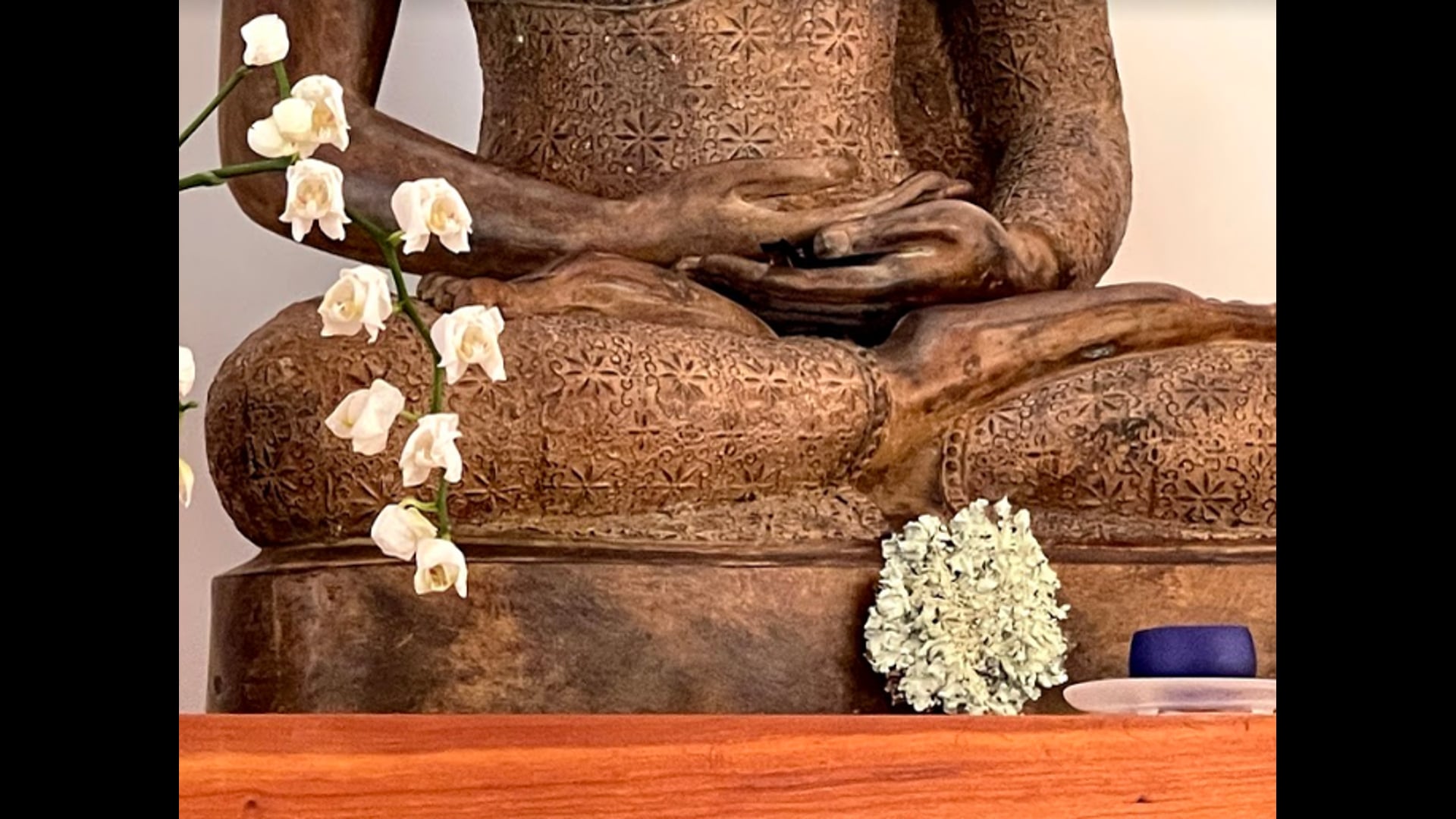 2021 April 19: The SELF View & the MINDFUL View