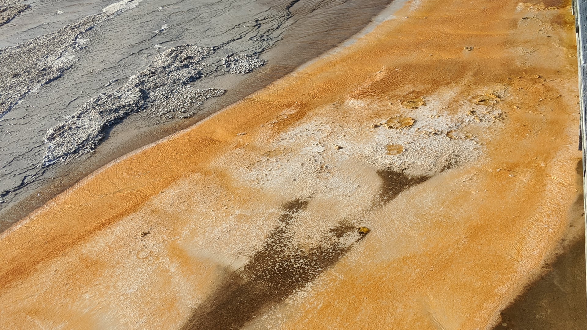 2021 April 22: Nuts & Bolts of Right Intention