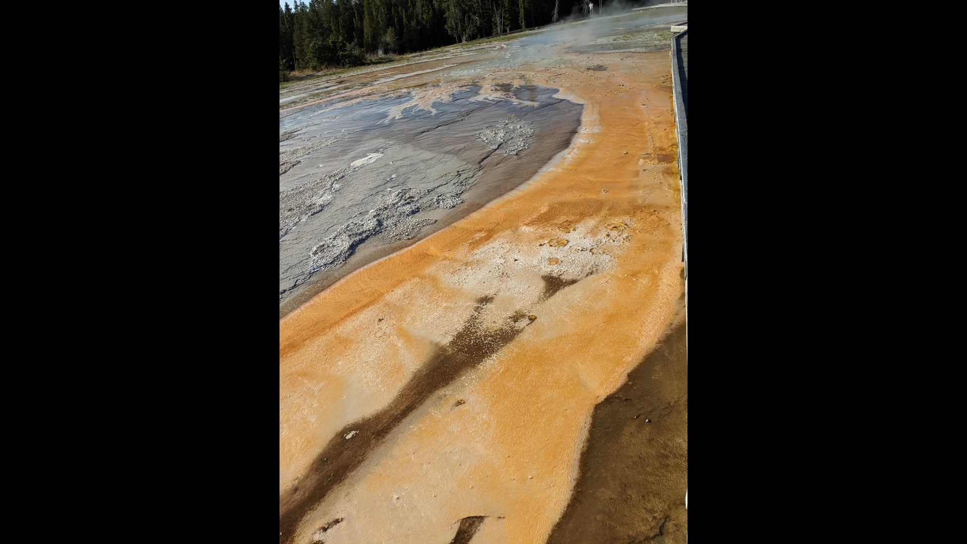 2021 April 22: Nuts & Bolts of Right Intention