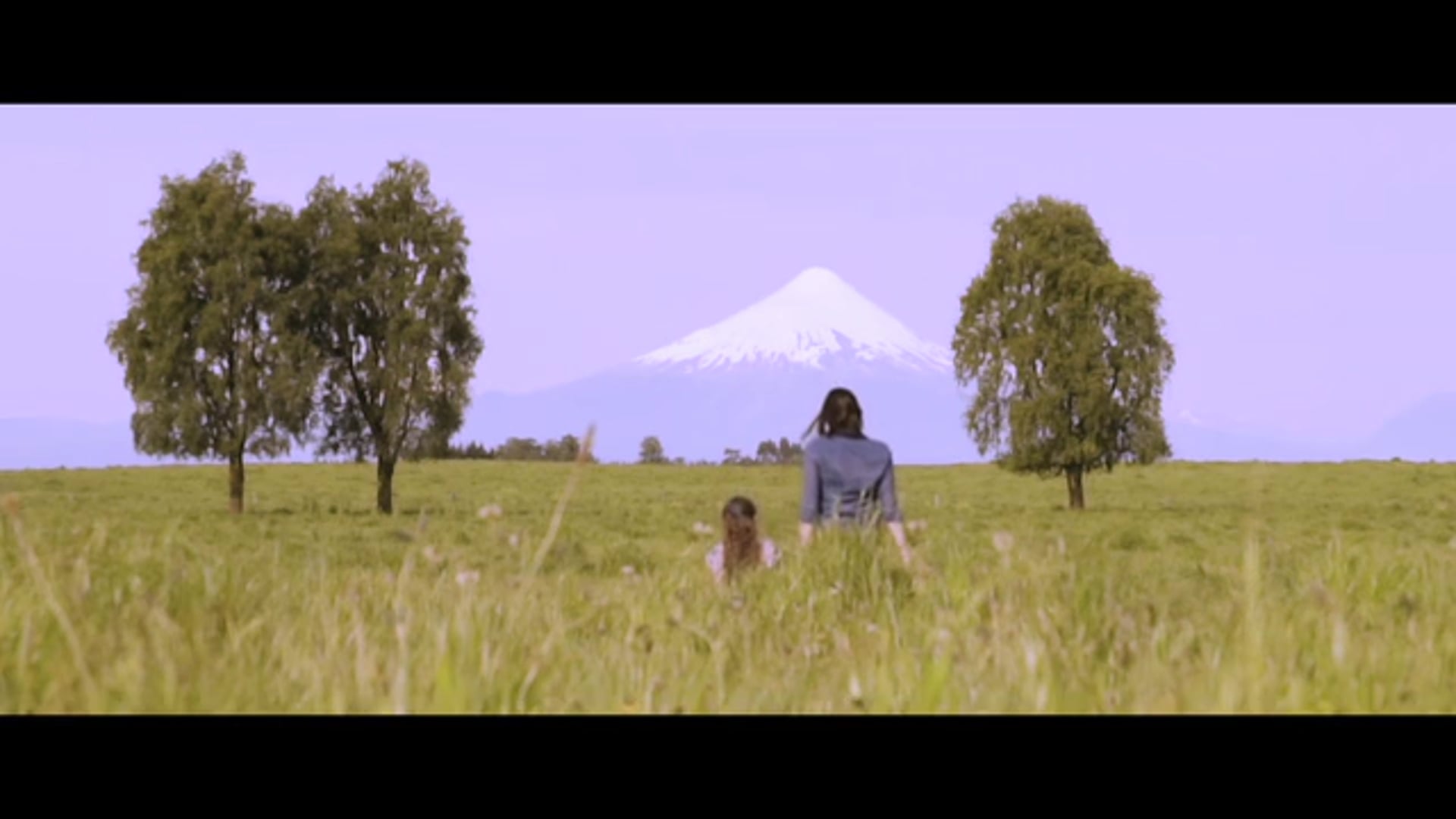 SENDEROS  DEL  BOSQUE