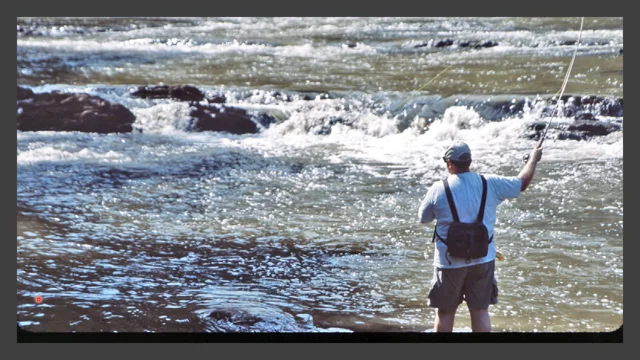 Fly Fishing the Hellgrammite and Madtom Sculpin - The View From