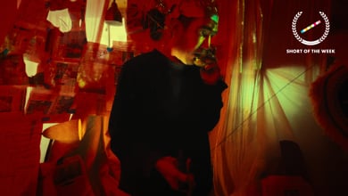 HOBBY - an Adobe Pocket Film - shot on iphone
