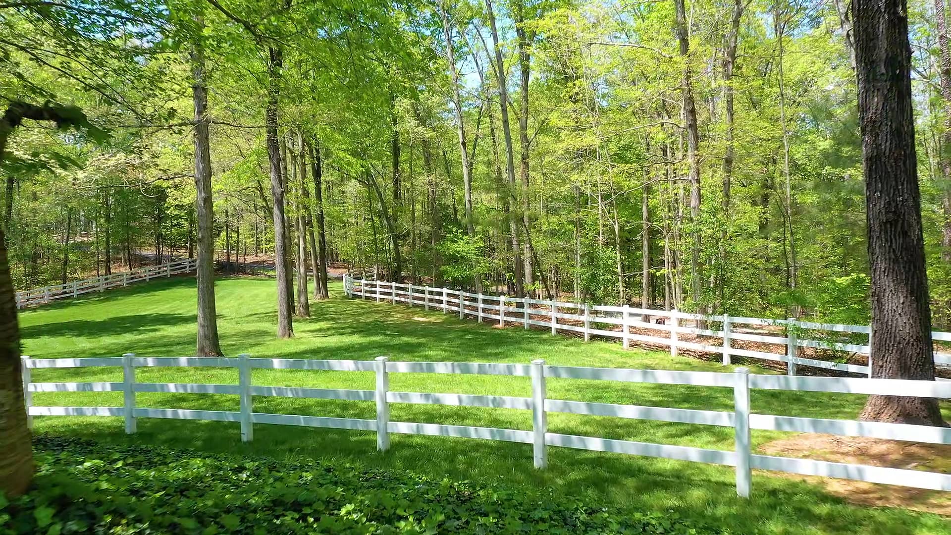 1650 Cox Rd, Roswell, GA 30075 on Vimeo