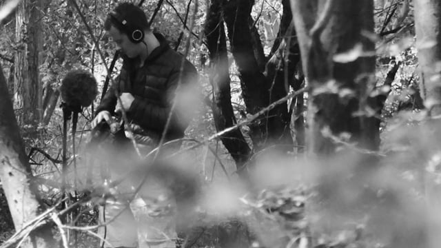 The Project at Hoxton: Sound and Design