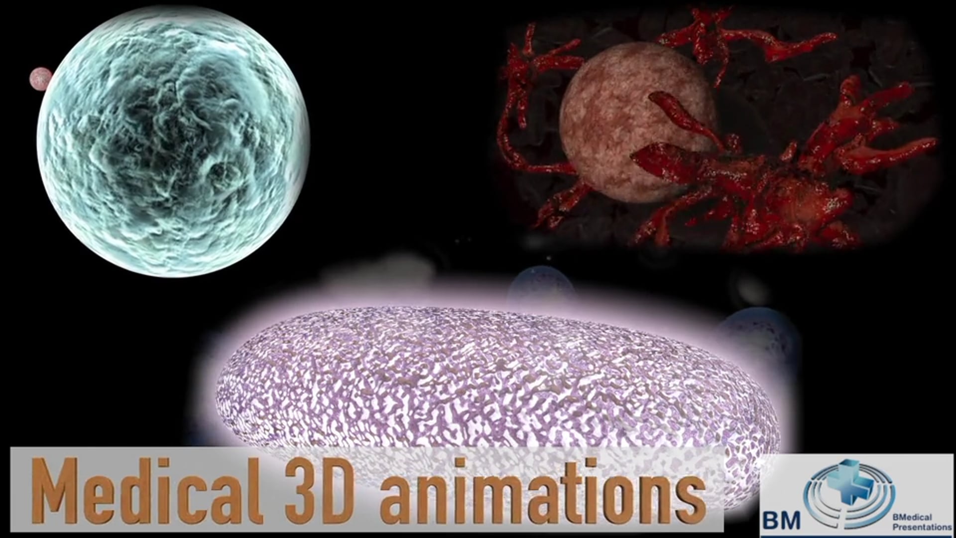 3D animaties.mov