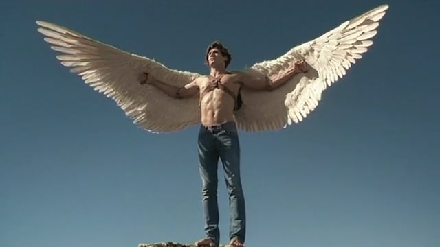 SMART Icarus