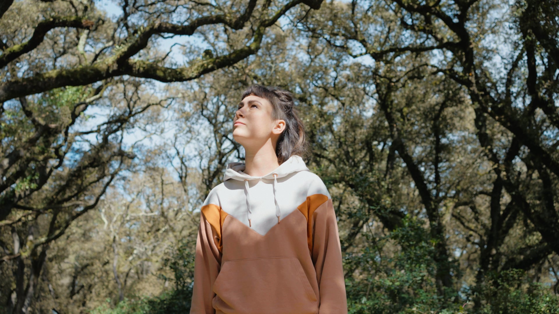 NOÉ | Noirmoutier Ébéniste