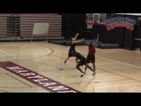 Preview Video #1