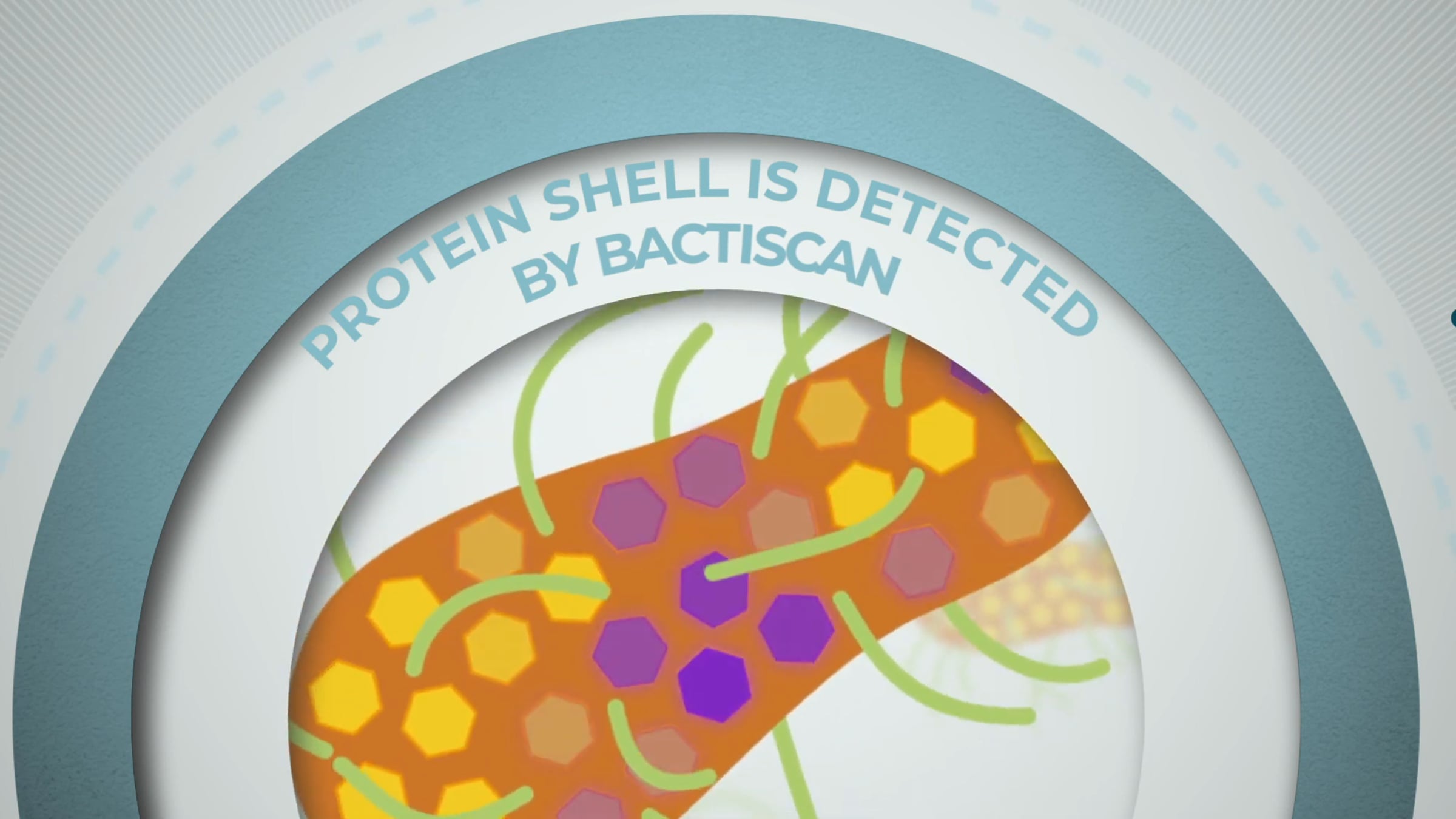 How Bactiscan Works To Effectively Detect Bacteria & Biofilms Fast & At ...