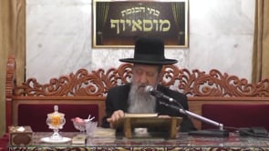 פרשת אמור הילולת רבי שמעון בר יוחאי אייר תשפא