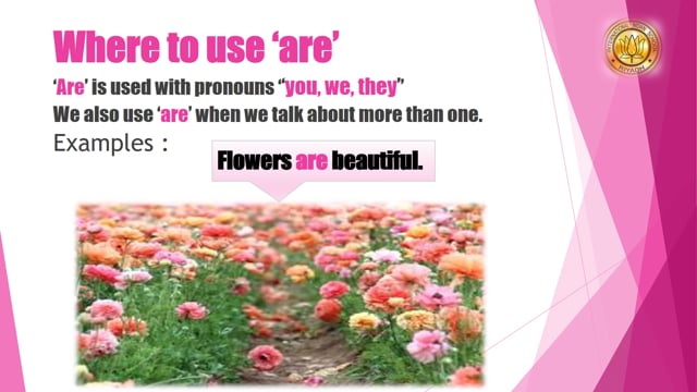 Grammar The Usage of Am, Is and Are