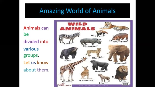 Amazing World of Animals