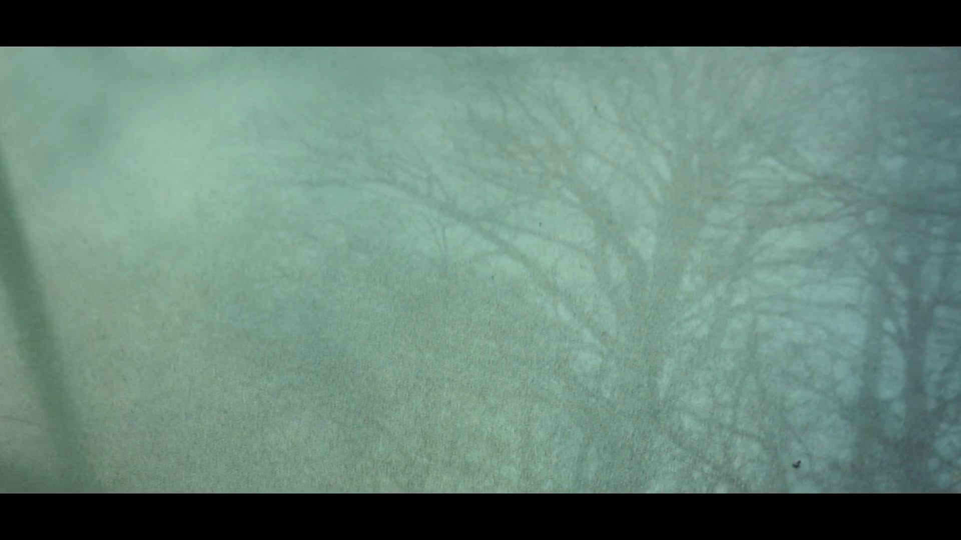 Photopolymer Intaglio Etching Plate III on Vimeo