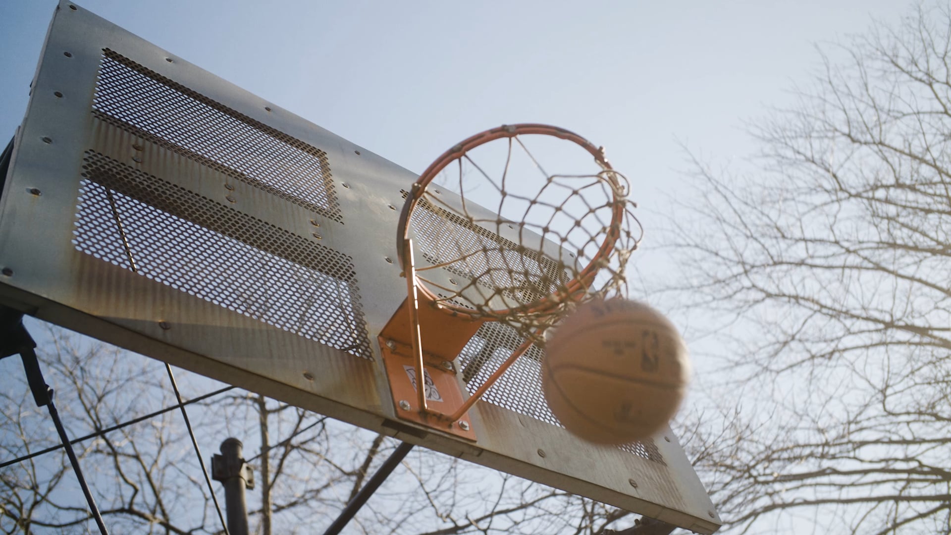 FLYBIRD Workout Bench