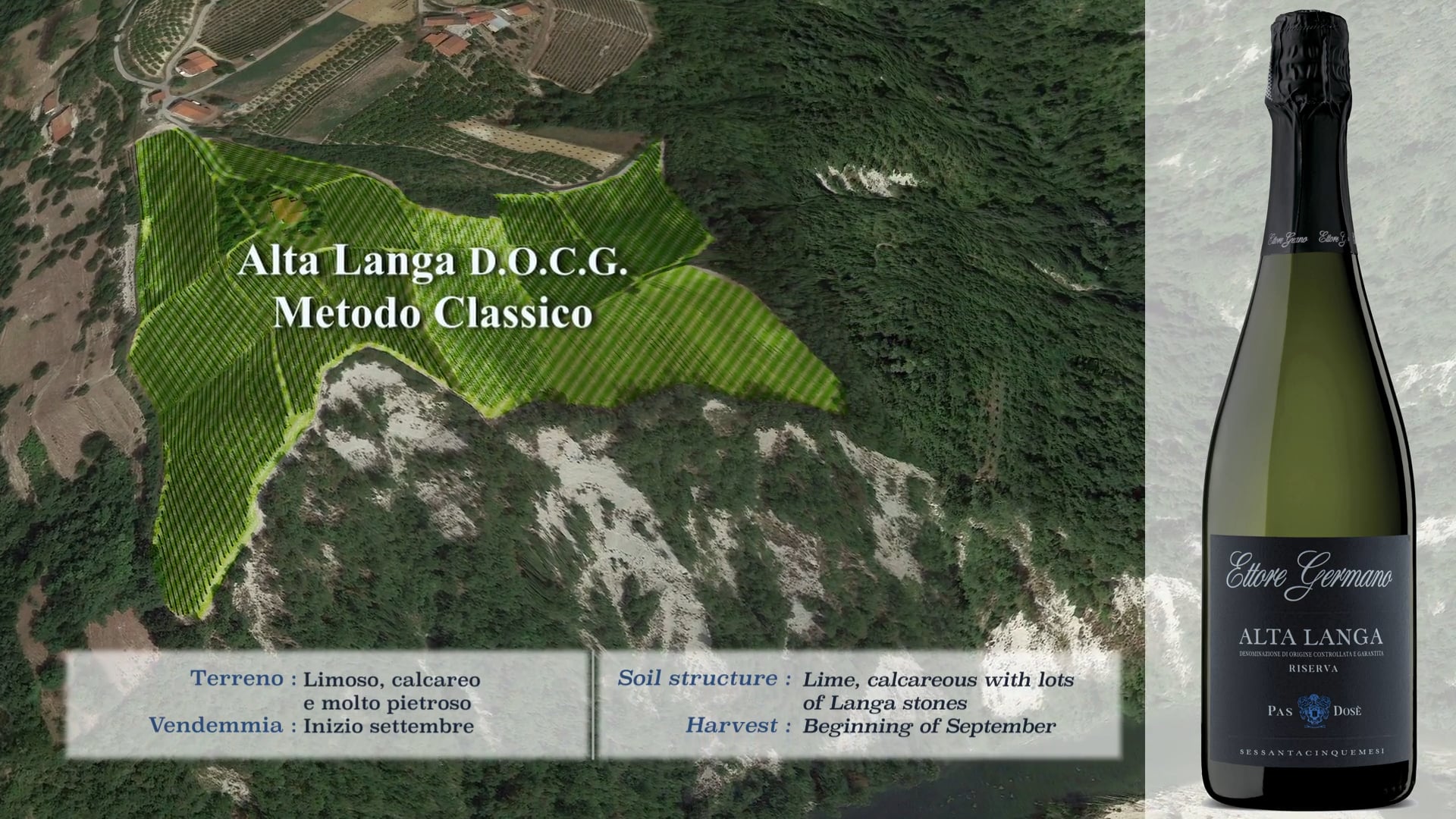 Vigneto Cigliè - Alta Langa