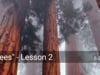 "Trees" - Lesson 2