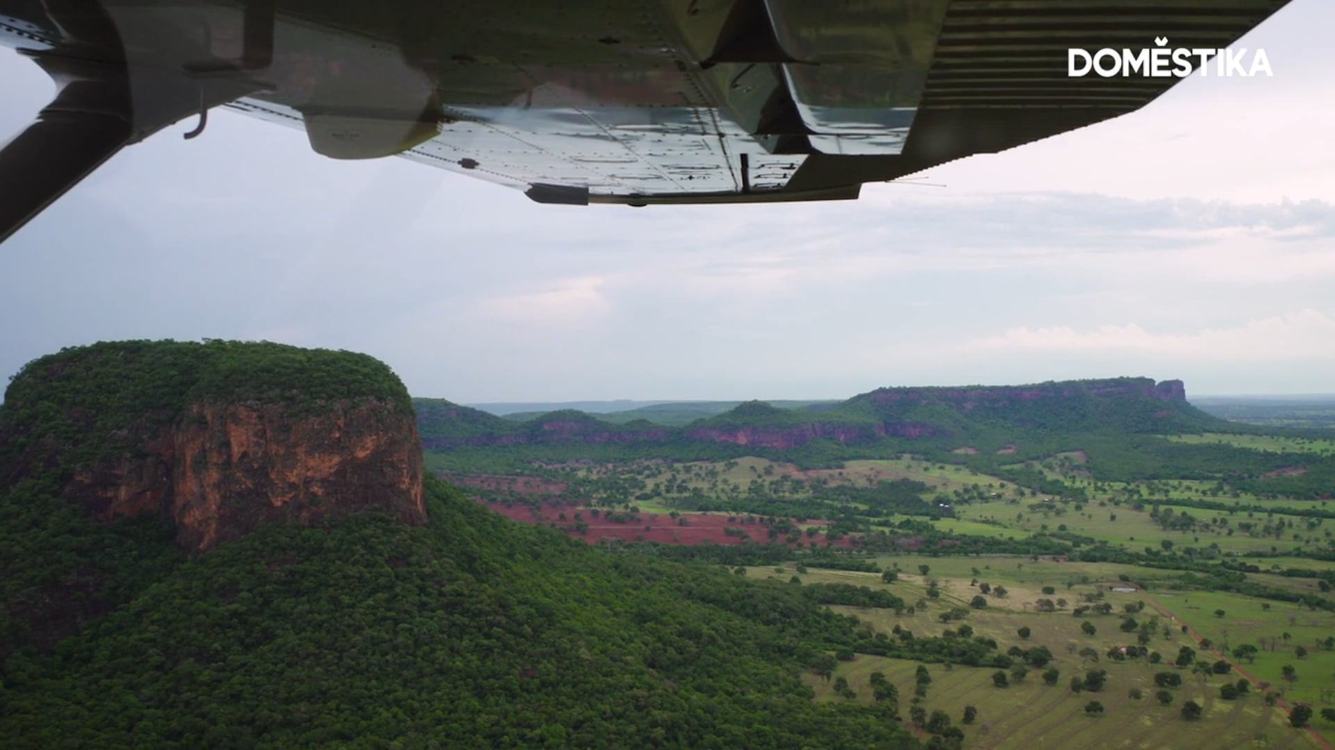 Pantanal: Imagem em Transformação | João Farkas | Domestika