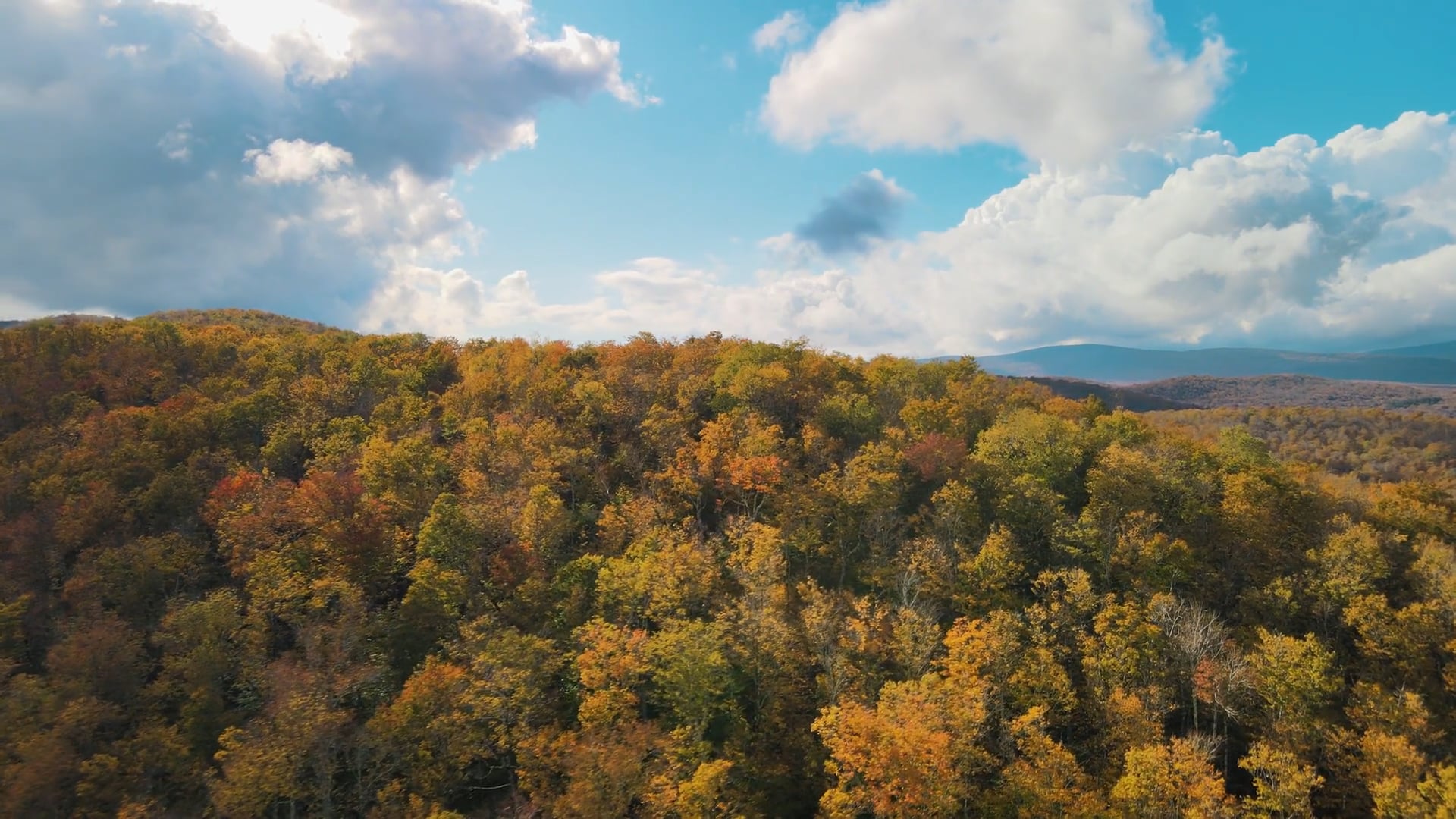Autumn in New Hampshire