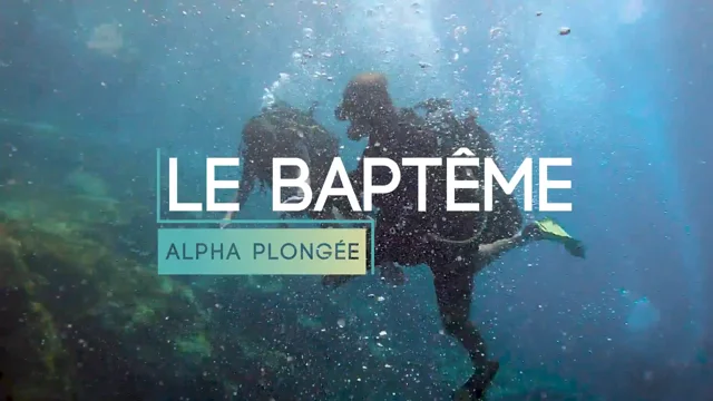 Archives des Equipements - Alpha Plongée Martinique