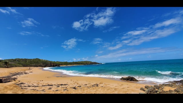 Related Embedded Video Item Thumbnail